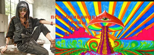 прущая мука Алзамай