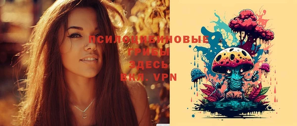 дурь Алексеевка