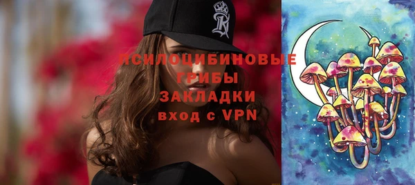 дурь Алексеевка