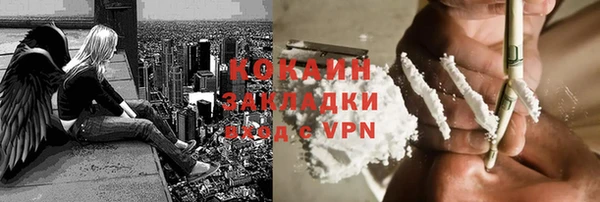 тгк Абаза