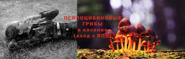 бошки Алексин