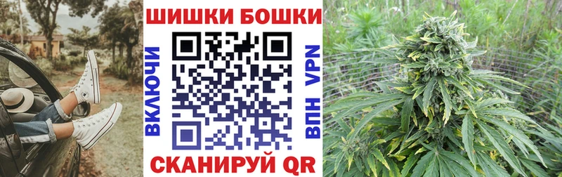Каннабис конопля Шатура
